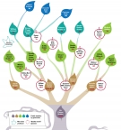 cartoon infographic of the family tree of this article's subjects